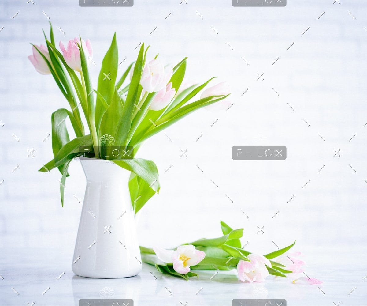 Portfolio8